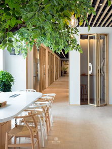 方糖小镇联合办公空间 朱周空间设计如何重塑创业服务体验