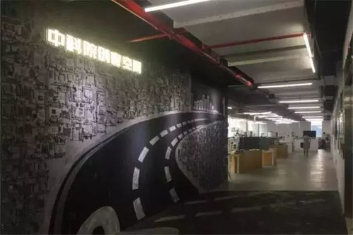 突破社交圈层，创业空间服务助力海归美女主理的宠物事业新征程